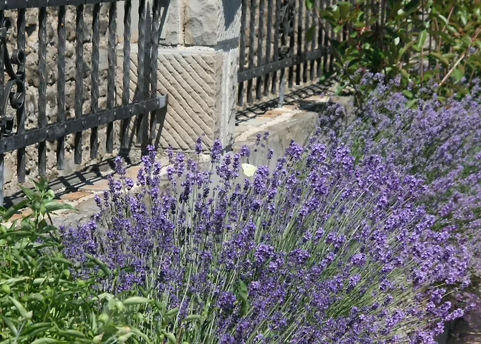 Konukevi & Giulia 3*