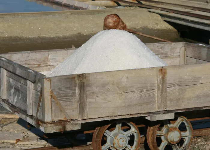 Guest house & Giulia Portoroz